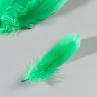 Набор перьев гуся 13-18 см, 20 шт, зелёный - фото 7007931