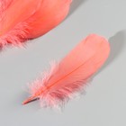 Набор перьев гуся 13-18 см, 20 шт, коралловый - фото 7007934
