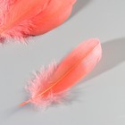 Набор перьев гуся 13-18 см, 20 шт, коралловый - фото 7007935