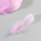 Набор перьев гуся 13-18 см, 20 шт, лавандовый - фото 7007947