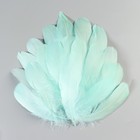 Набор перьев гуся 13-18 см, 20 шт, морская волна - фото 7007949