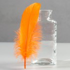 Набор перьев гуся 13-18 см, 20 шт, оранжевый - фото 7007956