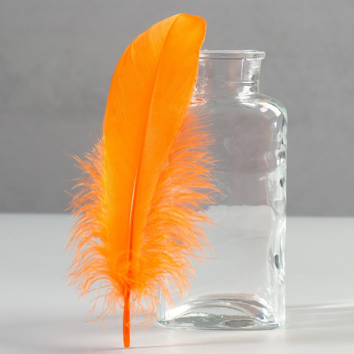 Набор перьев гуся 13-18 см, 20 шт, оранжевый - Фото 1