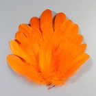 Набор перьев гуся 13-18 см, 20 шт, оранжевый - Фото 2