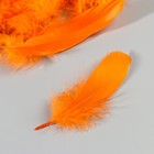 Набор перьев гуся 13-18 см, 20 шт, оранжевый - фото 7007958