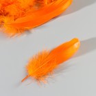 Набор перьев гуся 13-18 см, 20 шт, оранжевый - фото 7007959