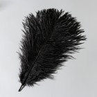 Перо страуса 30-35 см, чёрный - фото 9930315