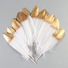 Набор перьев гуся 15-20 см, 10 шт, бело-золотой - фото 43745098