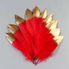 Набор перьев гуся 15-20 см, 10 шт, красно-золотой - фото 7007973