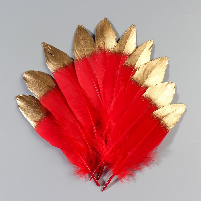 Набор перьев гуся 15-20 см, 10 шт, красно-золотой
