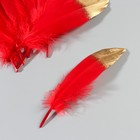 Набор перьев гуся 15-20 см, 10 шт, красно-золотой - фото 7007974