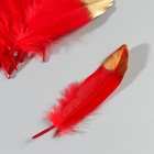 Набор перьев гуся 15-20 см, 10 шт, красно-золотой - фото 7007975