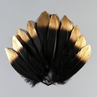Набор перьев гуся 15-20 см, 10 шт, чёрный с золотистым кончиком - фото 9930321