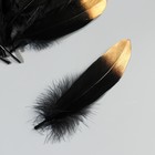 Набор перьев гуся 15-20 см, 10 шт, чёрный с золотистым кончиком - фото 9930322