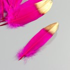 Набор перьев гуся 15-20 см, 10 шт, фуксия с золотым кончиком - фото 7007982