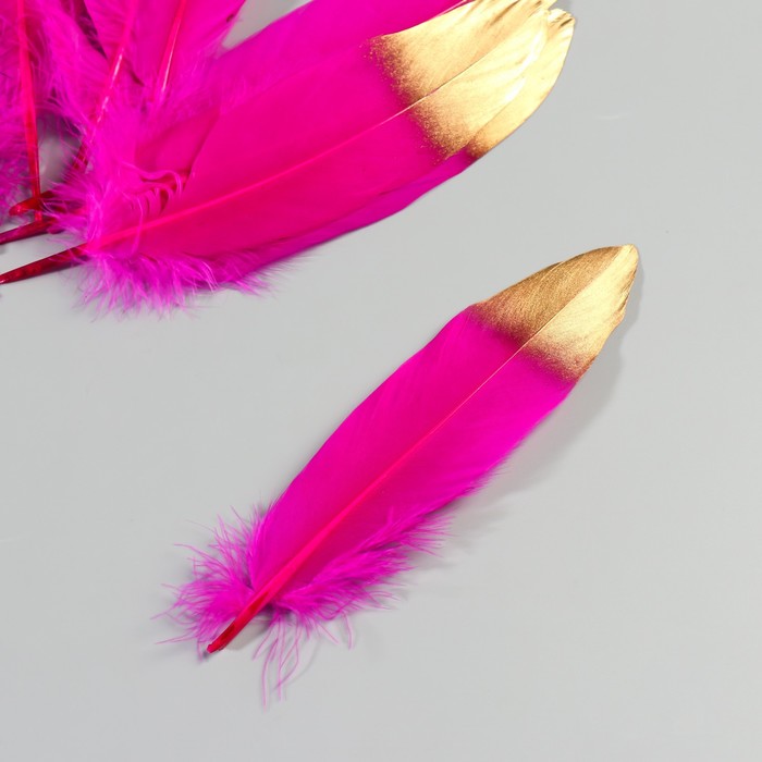 Набор перьев гуся 15-20 см, 10 шт, фуксия с золотым кончиком