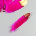 Набор перьев гуся 15-20 см, 10 шт, фуксия с золотым кончиком - фото 7007983