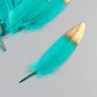 Набор перьев гуся 15-20 см, 10 шт, тёмно-зелёный с золотом - Фото 3