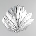 Набор перьев гуся 15-20 см, 10 шт, серебро - фото 63076275