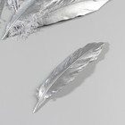 Набор перьев гуся 15-20 см, 10 шт, серебро - фото 63076276