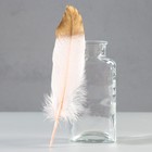 Набор перьев гуся 15-20 см, 10 шт, светло-розовый с золотом - фото 1362686