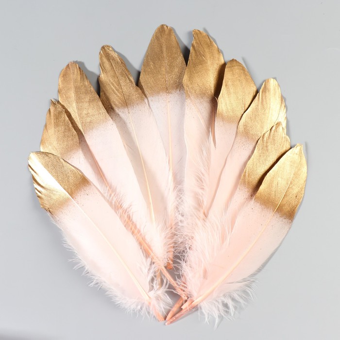 Набор перьев гуся 15-20 см, 10 шт, светло-розовый с золотом