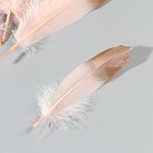 Набор перьев гуся 15-20 см, 10 шт, светло-розовый с золотом - Фото 4