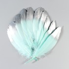 Набор перьев гуся 15-20 см, 10 шт, мятный с серебром - фото 7007997