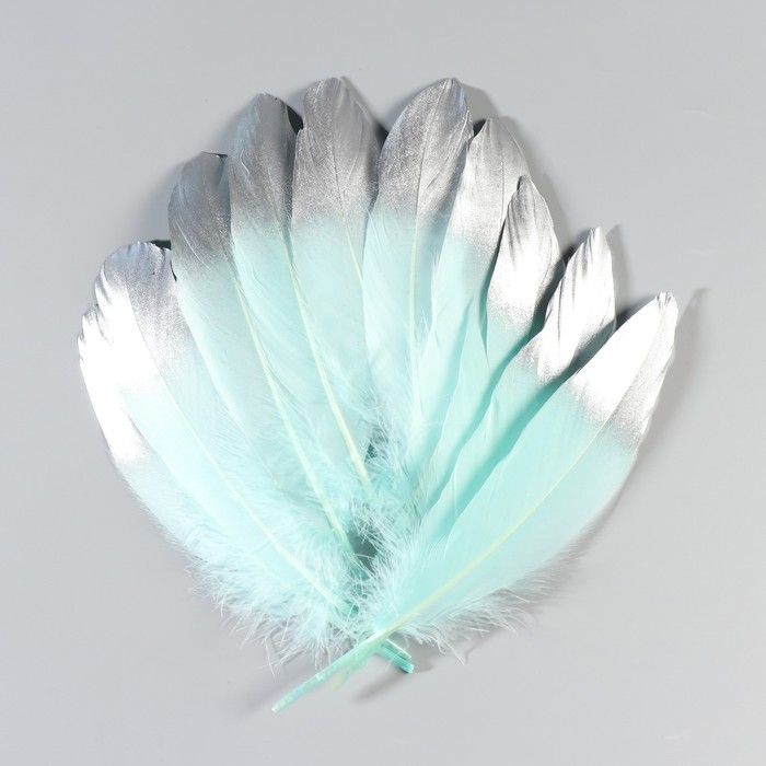 Набор перьев гуся 15-20 см, 10 шт, мятный с серебром