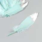 Набор перьев гуся 15-20 см, 10 шт, мятный с серебром - фото 7007998