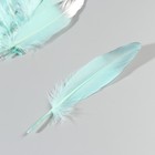 Набор перьев гуся 15-20 см, 10 шт, мятный с серебром - фото 7007999