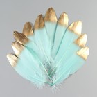 Набор перьев гуся 15-20 см, 10 шт, мятный с золотом - фото 7008001