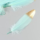 Набор перьев гуся 15-20 см, 10 шт, мятный с золотом - фото 7008002