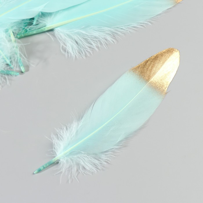 Набор перьев гуся 15-20 см, 10 шт, мятный с золотом