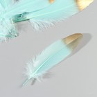Набор перьев гуся 15-20 см, 10 шт, мятный с золотом - фото 7008003