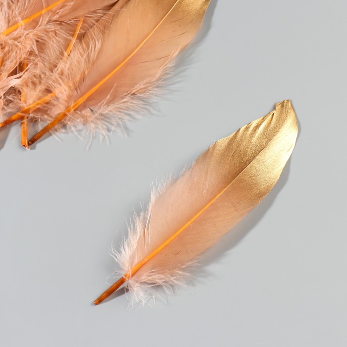 Набор перьев гуся 15-20 см, 10 шт, кофейно-золотой