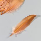 Набор перьев гуся 15-20 см, 10 шт, кофейно-золотой - фото 7813667
