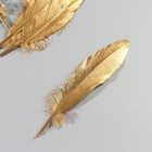 Набор перьев гуся 15-20 см, 10 шт, золотой - фото 9930326
