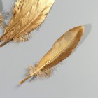Набор перьев гуся 15-20 см, 10 шт, золотой - фото 9930327