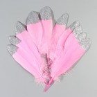 Набор перьев гуся 15-20 см, 10 шт, ярко-розовый с серебрянной крошкой - фото 7008013