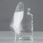 Набор перьев гуся 15-20 см, 10 шт, белый с серебрянной крошкой - фото 1362710