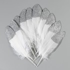 Набор перьев гуся 15-20 см, 10 шт, белый с серебрянной крошкой - Фото 2