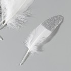 Набор перьев гуся 15-20 см, 10 шт, белый с серебрянной крошкой - фото 7008018