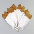 Набор перьев гуся 15-20 см, 10 шт, белый с золотой крошкой - фото 7008021