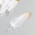 Набор перьев гуся 15-20 см, 10 шт, белый с золотой крошкой - фото 7008023