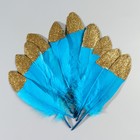 Набор перьев гуся 15-20 см, 10 шт, голубой с золотой крошкой - Фото 2