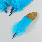 Набор перьев гуся 15-20 см, 10 шт, голубой с золотой крошкой - Фото 3