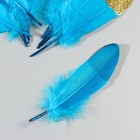 Набор перьев гуся 15-20 см, 10 шт, голубой с золотой крошкой - фото 7008027