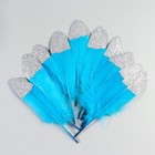 Набор перьев гуся 15-20 см, 10 шт, голубой с серебрянной крошкой - фото 7008029