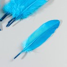 Набор перьев гуся 15-20 см, 10 шт, голубой с серебрянной крошкой - фото 7008031